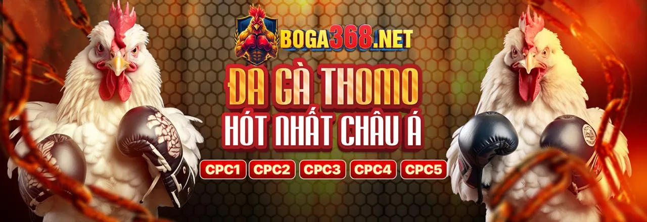 Đá gà trực tuyến Ranvip chính thức 2026