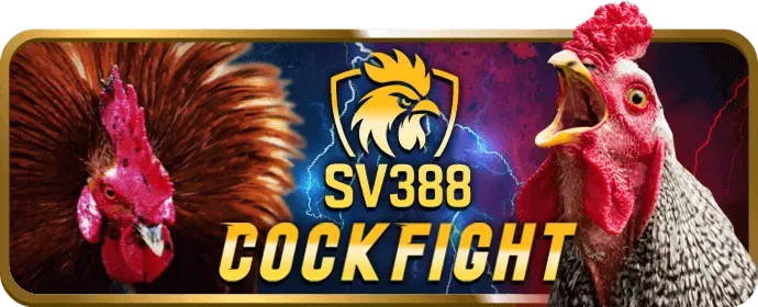 Mẹo và chiến lược chơi game hiệu quả RanVip Chính Thức